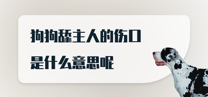 狗狗舔主人的伤口是什么意思呢