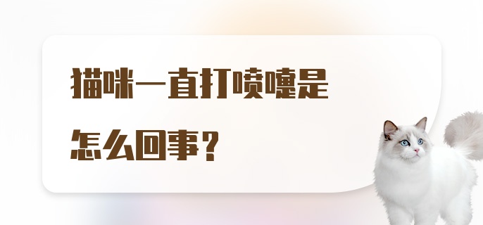 猫咪一直打喷嚏是怎么回事?