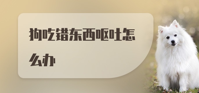 狗吃错东西呕吐怎么办