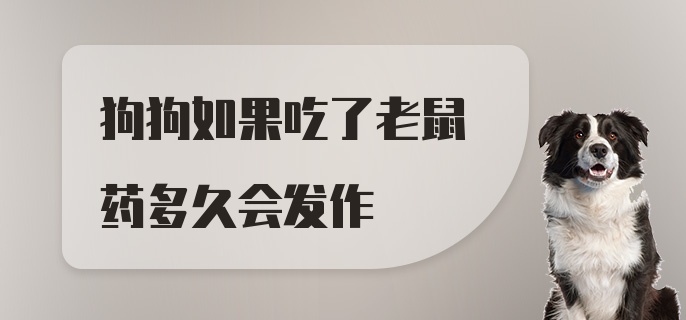 狗狗如果吃了老鼠药多久会发作