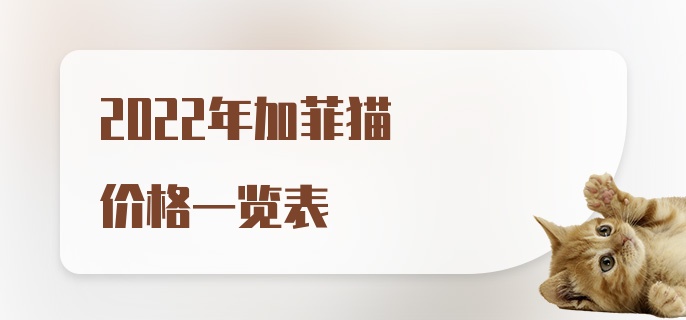 2022年加菲猫价格一览表