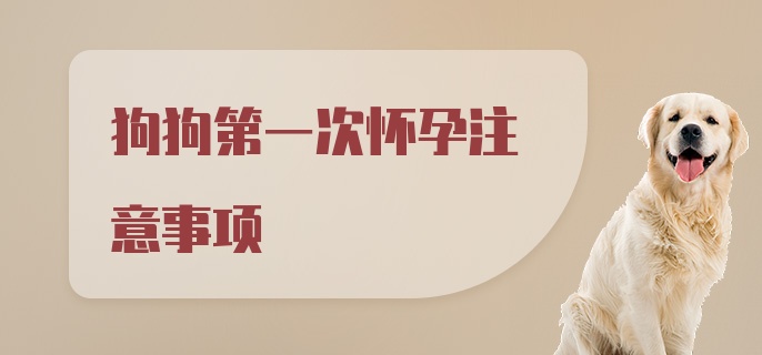 狗狗第一次怀孕注意事项