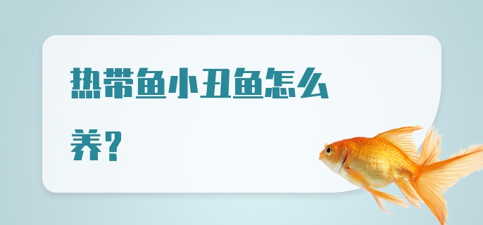 热带鱼小丑鱼怎么养？