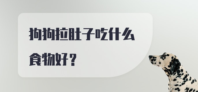 狗狗拉肚子吃什么食物好？