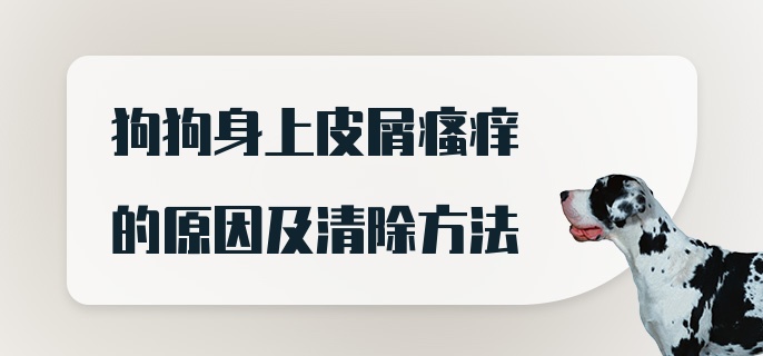 狗狗身上皮屑瘙痒的原因及清除方法