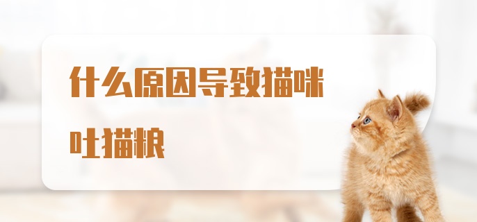 什么原因导致猫咪吐猫粮