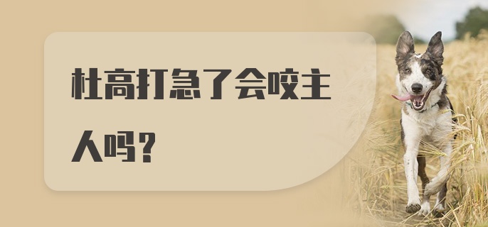 杜高打急了会咬主人吗？