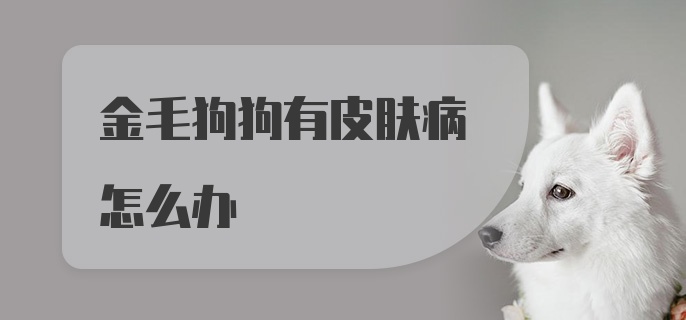 金毛狗狗有皮肤病怎么办