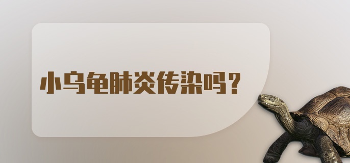 小乌龟肺炎传染吗？