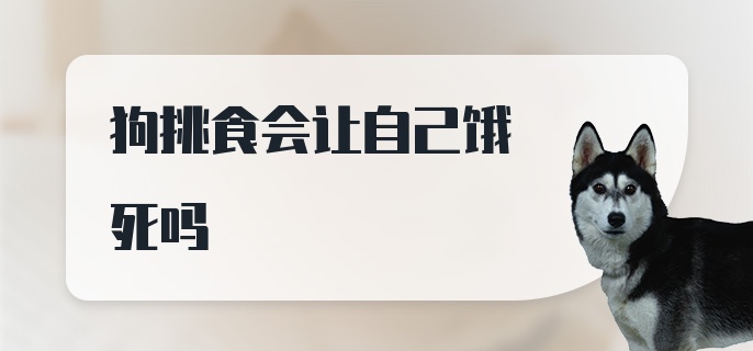 狗挑食会让自己饿死吗