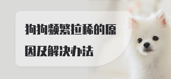 狗狗频繁拉稀的原因及解决办法