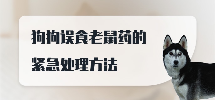 狗狗误食老鼠药的紧急处理方法