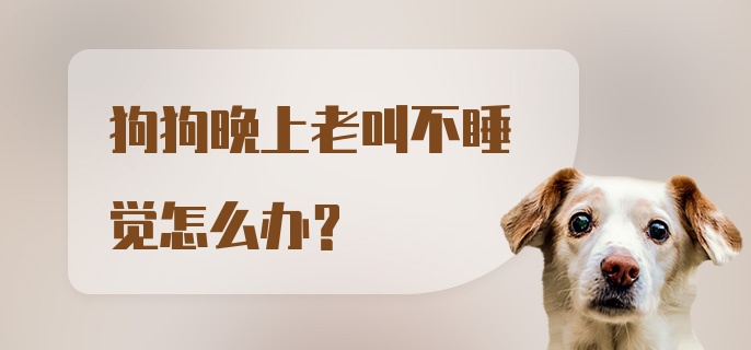 狗狗晚上老叫不睡觉怎么办？