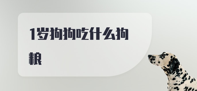 1岁狗狗吃什么狗粮