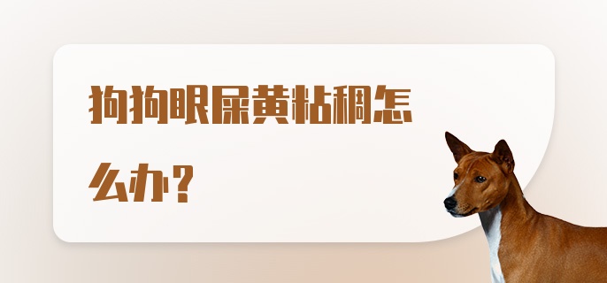 狗狗眼屎黄粘稠怎么办？