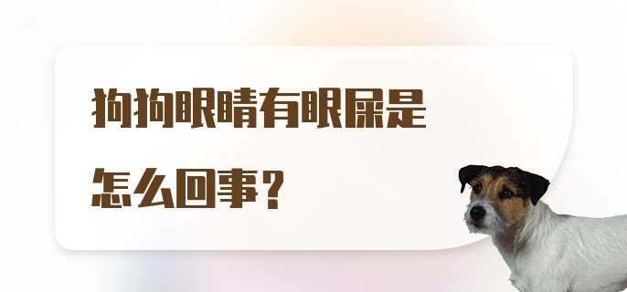 狗狗眼睛有眼屎是怎么回事？