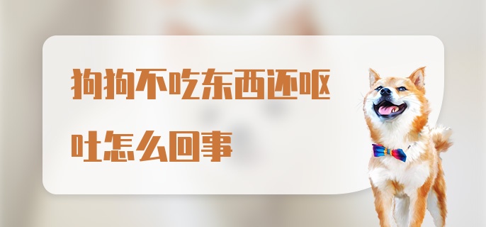 狗狗不吃东西还呕吐怎么回事