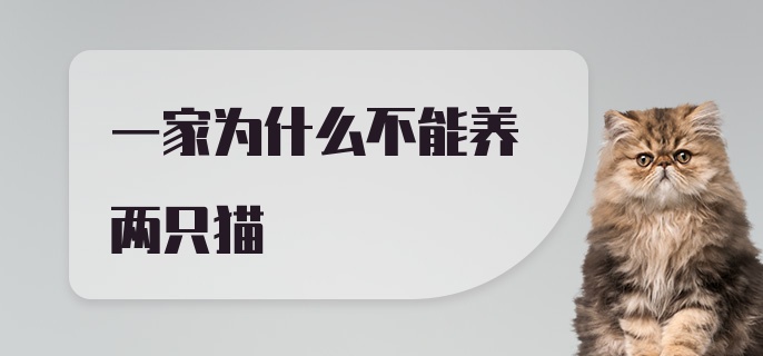 一家为什么不能养两只猫