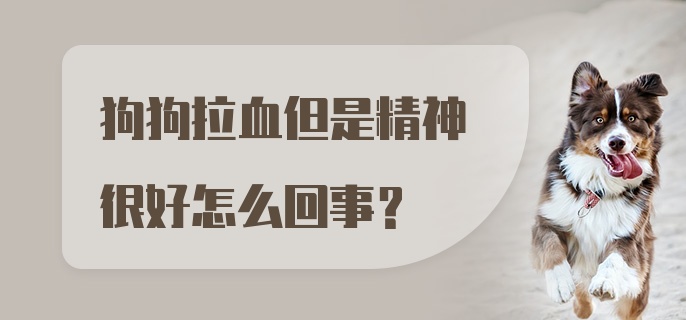 狗狗拉血但是精神很好怎么回事?