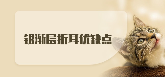 银渐层折耳优缺点