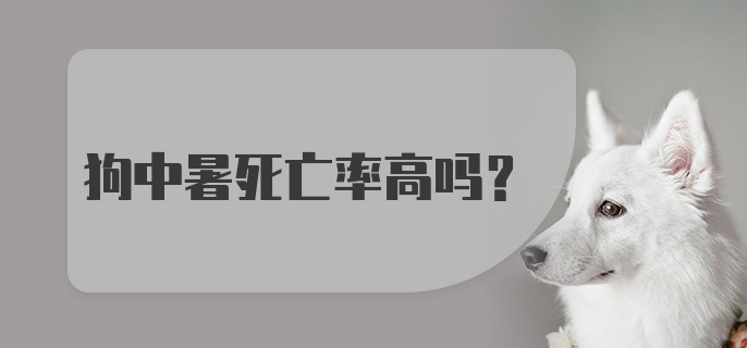 狗中暑死亡率高吗？