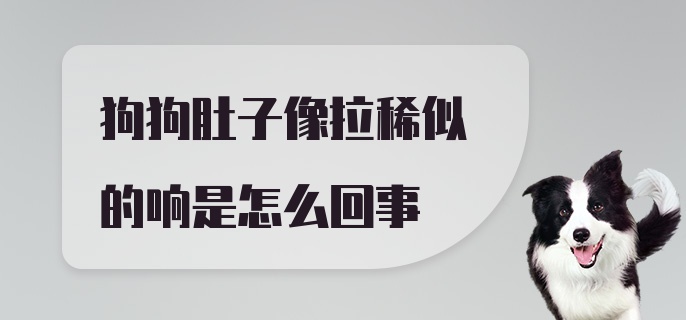 狗狗肚子像拉稀似的响是怎么回事