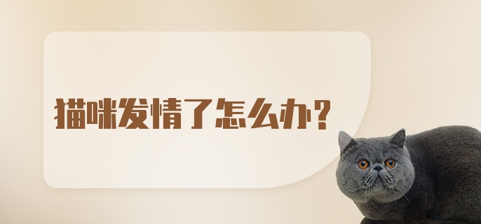 猫咪发情了怎么办?