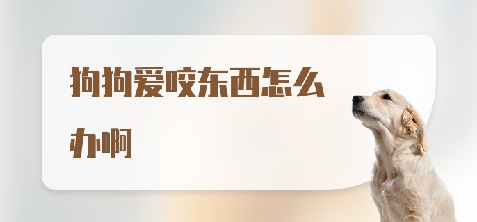 狗狗爱咬东西怎么办啊