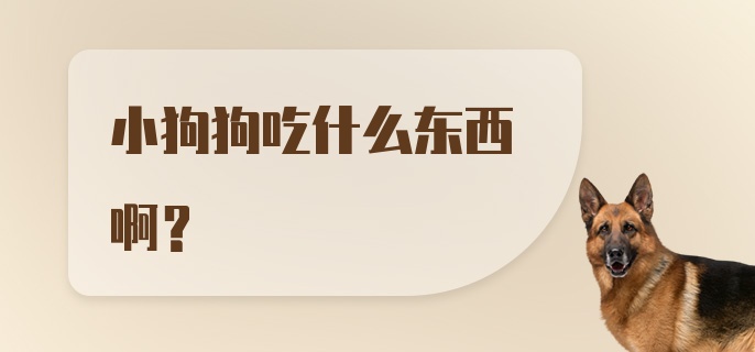 小狗狗吃什么东西啊？