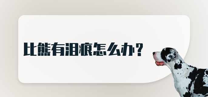 比熊有泪痕怎么办？