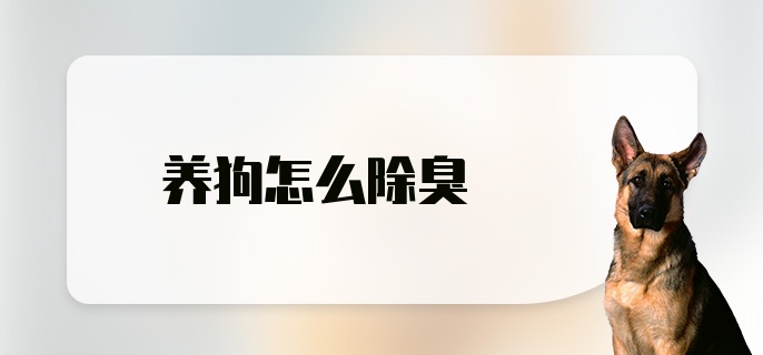 养狗怎么除臭