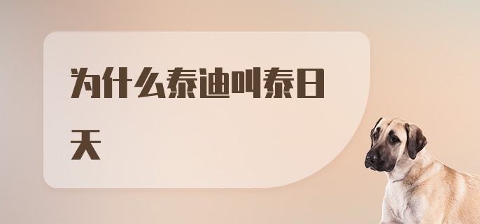 为什么泰迪叫泰日天