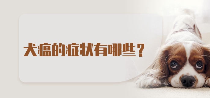 犬瘟的症状有哪些?