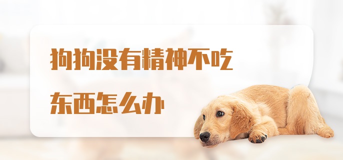 狗狗没有精神不吃东西怎么办