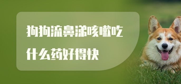 狗狗流鼻涕咳嗽吃什么药好得快