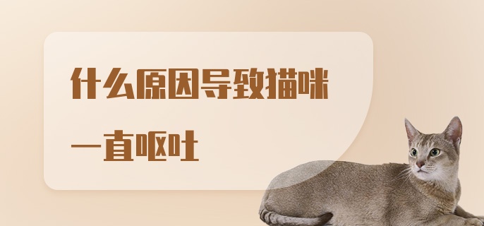 什么原因导致猫咪一直呕吐