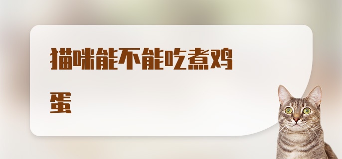 猫咪能不能吃煮鸡蛋