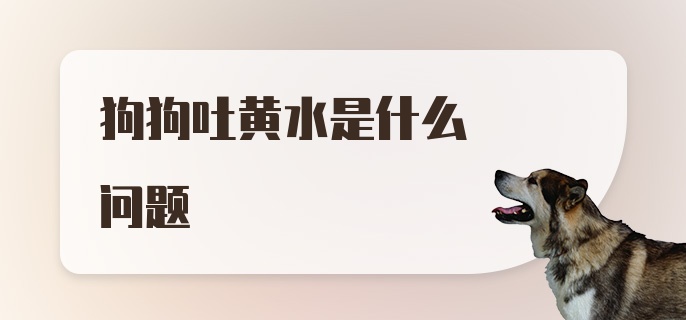 狗狗吐黄水是什么问题