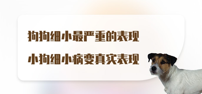 狗狗细小最严重的表现小狗细小病变真实表现