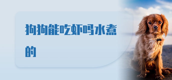 狗狗能吃虾吗水煮的