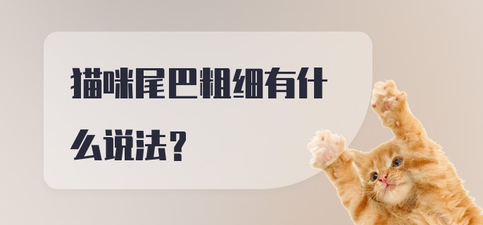 猫咪尾巴粗细有什么说法?