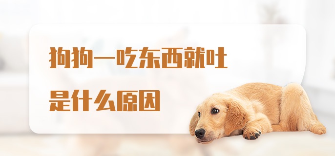 狗狗一吃东西就吐是什么原因