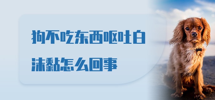 狗不吃东西呕吐白沫黏怎么回事