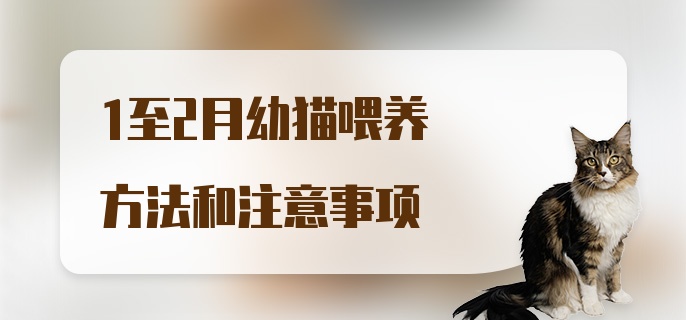 1至2月幼猫喂养方法和注意事项