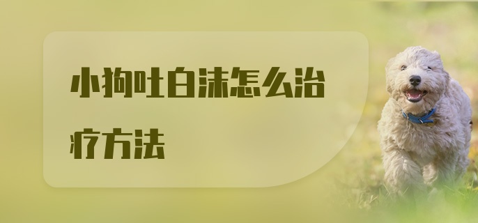 小狗吐白沫怎么治疗方法