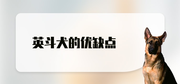 英斗犬的优缺点