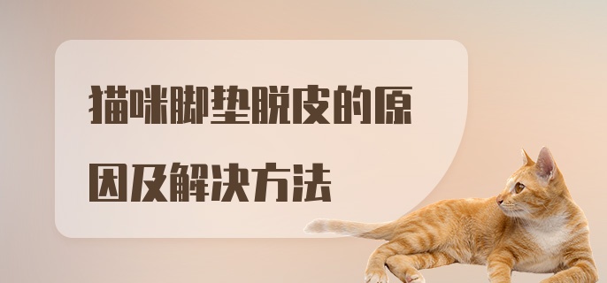 猫咪脚垫脱皮的原因及解决方法