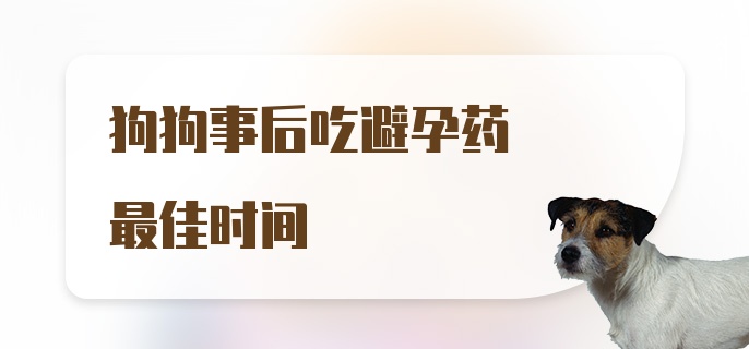 狗狗事后吃避孕药最佳时间