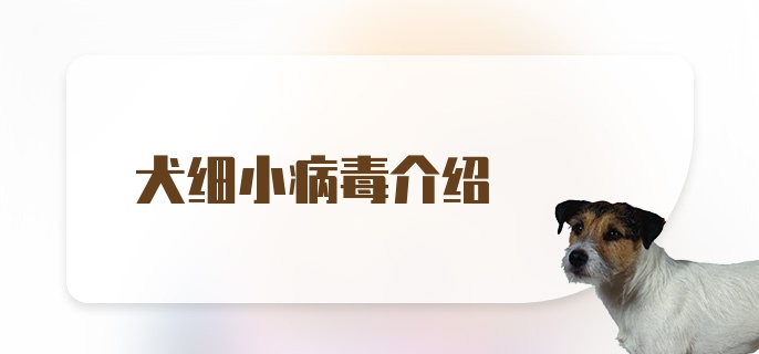 犬细小病毒介绍