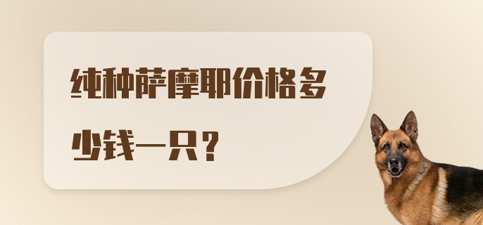 纯种萨摩耶价格多少钱一只？